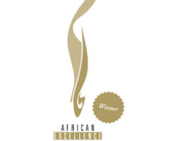 MEAComS Wins Best Corporate Video Honour at African Excellence Awards
